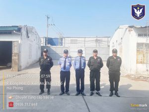 trien-khai-hd-cty-xnk-ha-long-tai-dia-chi-cun-cong-nghiep-canh-hau-quan-kien-an-tp-hai-phong (1)